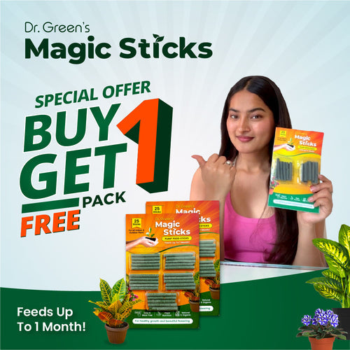 Dr.Green's - Magic Plant Sticks  (Buy 1 Get 1 Free ⭐⭐⭐⭐⭐ )